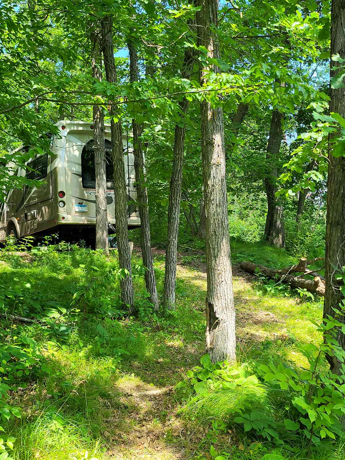 Example of an RV on the gravel site, it is level for smaller RVs but may need some leveling if your RV is over 25 feet. There is a path along the shore to your private seating area.