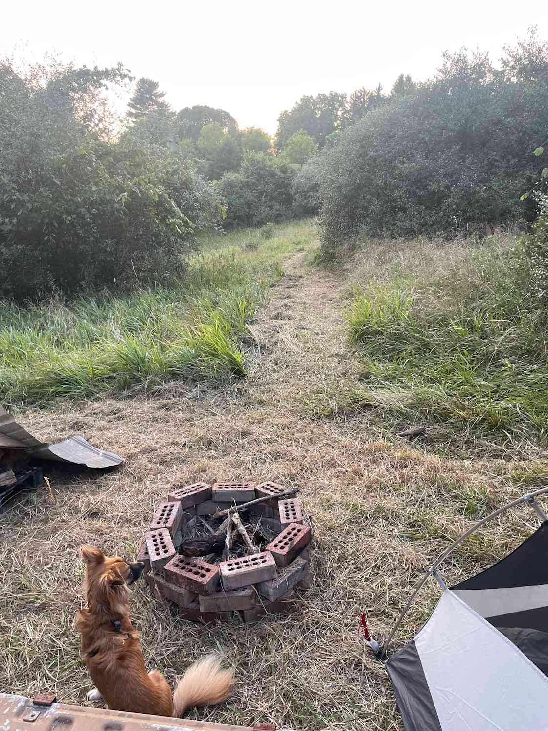 Itchy/spiky dry vegetation, most level tent spot was RIGHT next to the fire pit