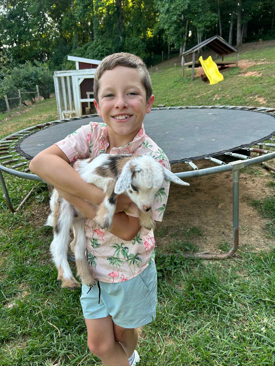 Hands on goat encounters 