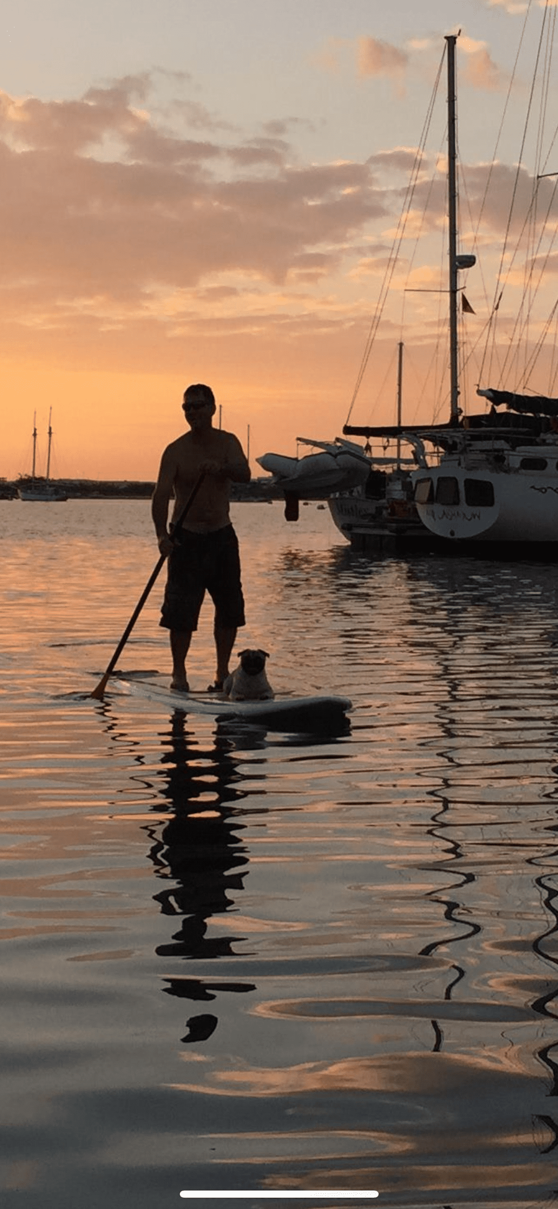 Paddle Board fun with pug 