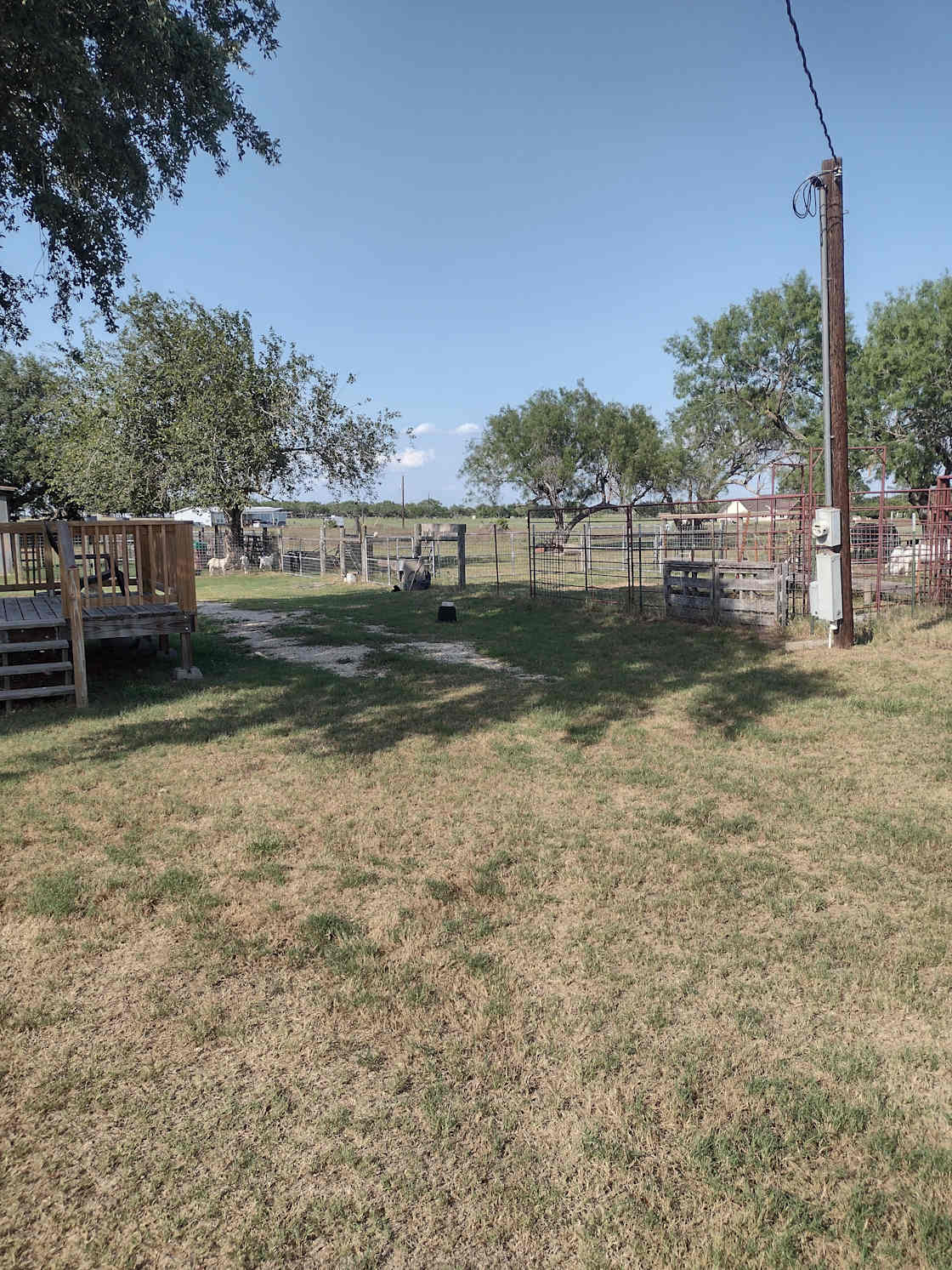 Ranch land with pasture.