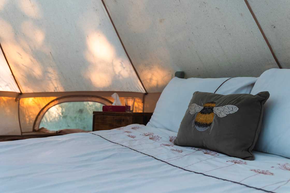 The bell tent's comfortable bed made better with dappled golden light.
