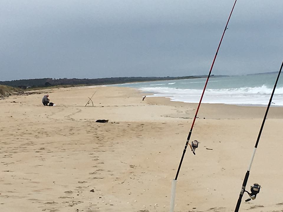 Great beach fishing