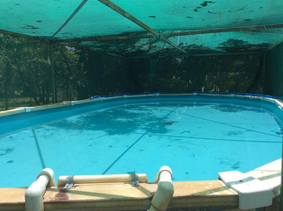 Pool under shade mesh.