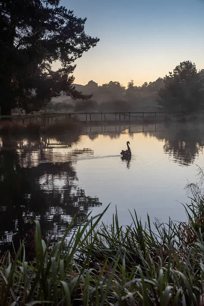 Guide Falls Farm Hipcamp in West Ridgley, Tasmania