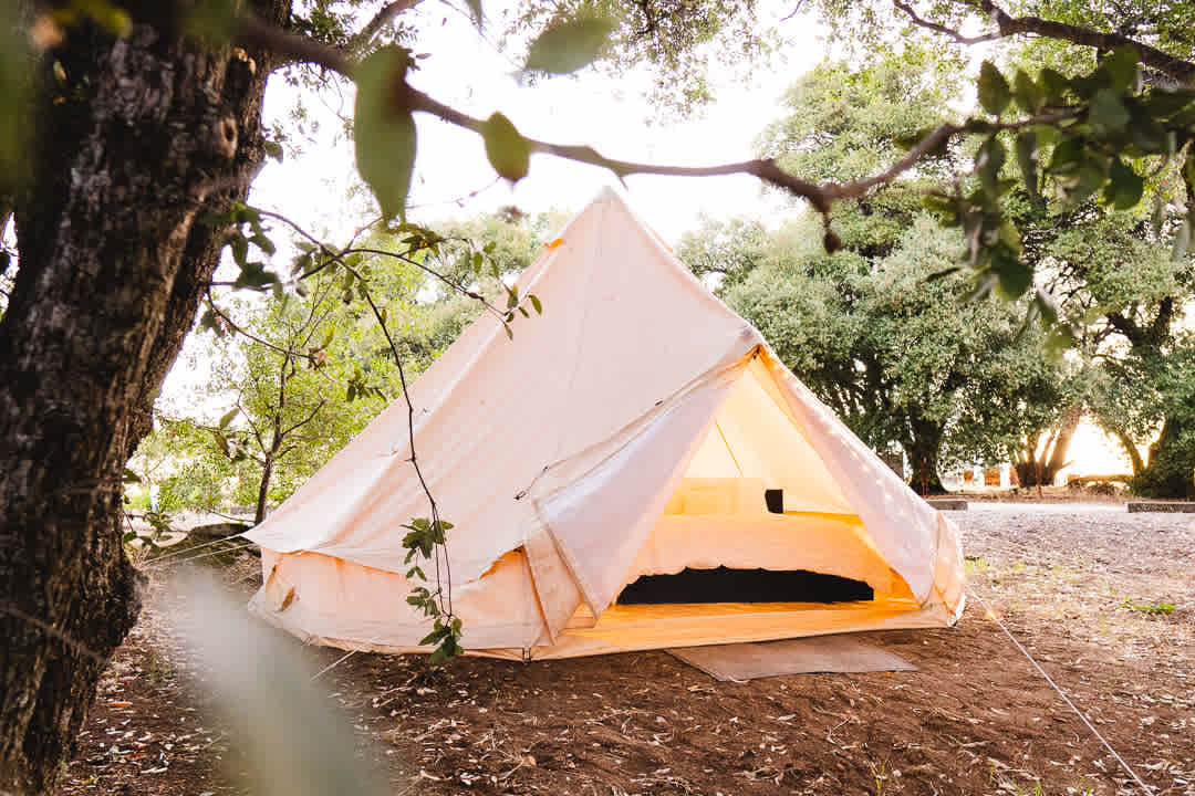 Canvas tents