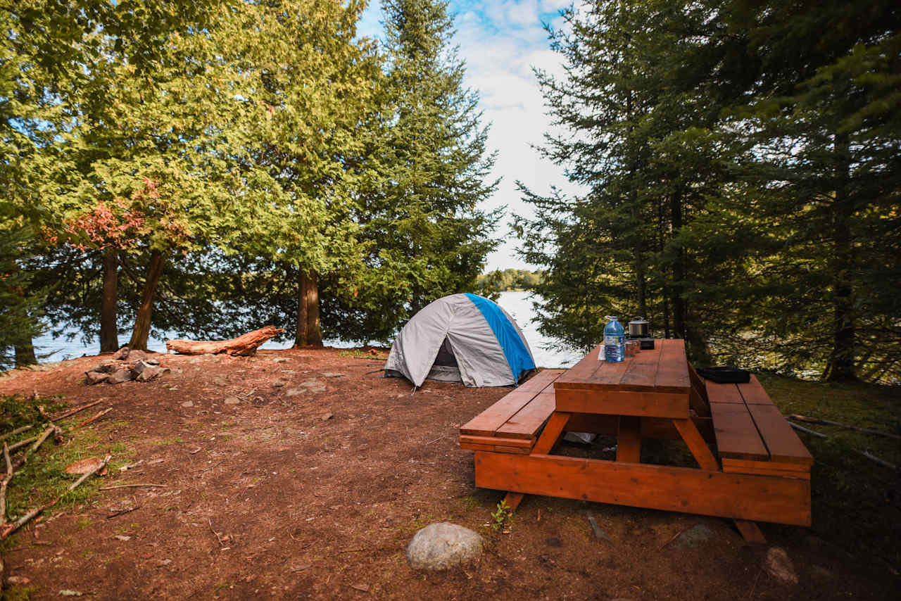 A tent and picnic table surrounded by trees on a lake