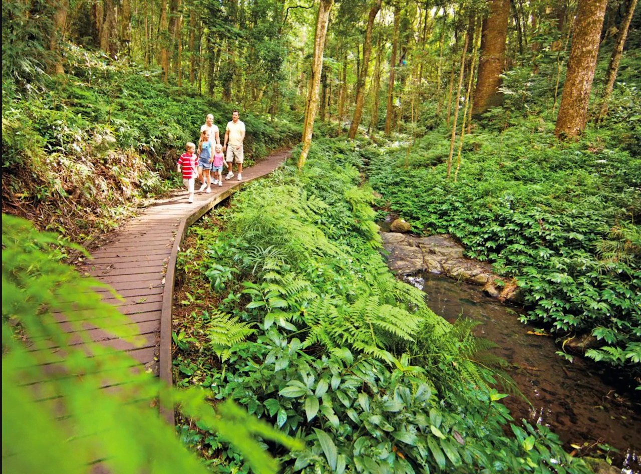 Bunya Mountains