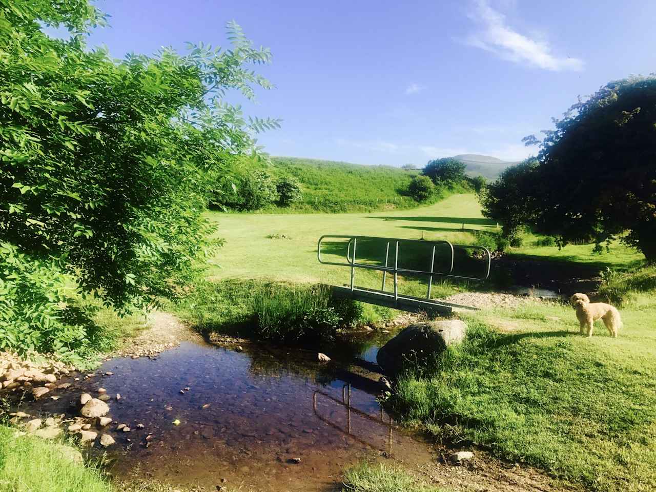 Baystone Bank Farm Campsite