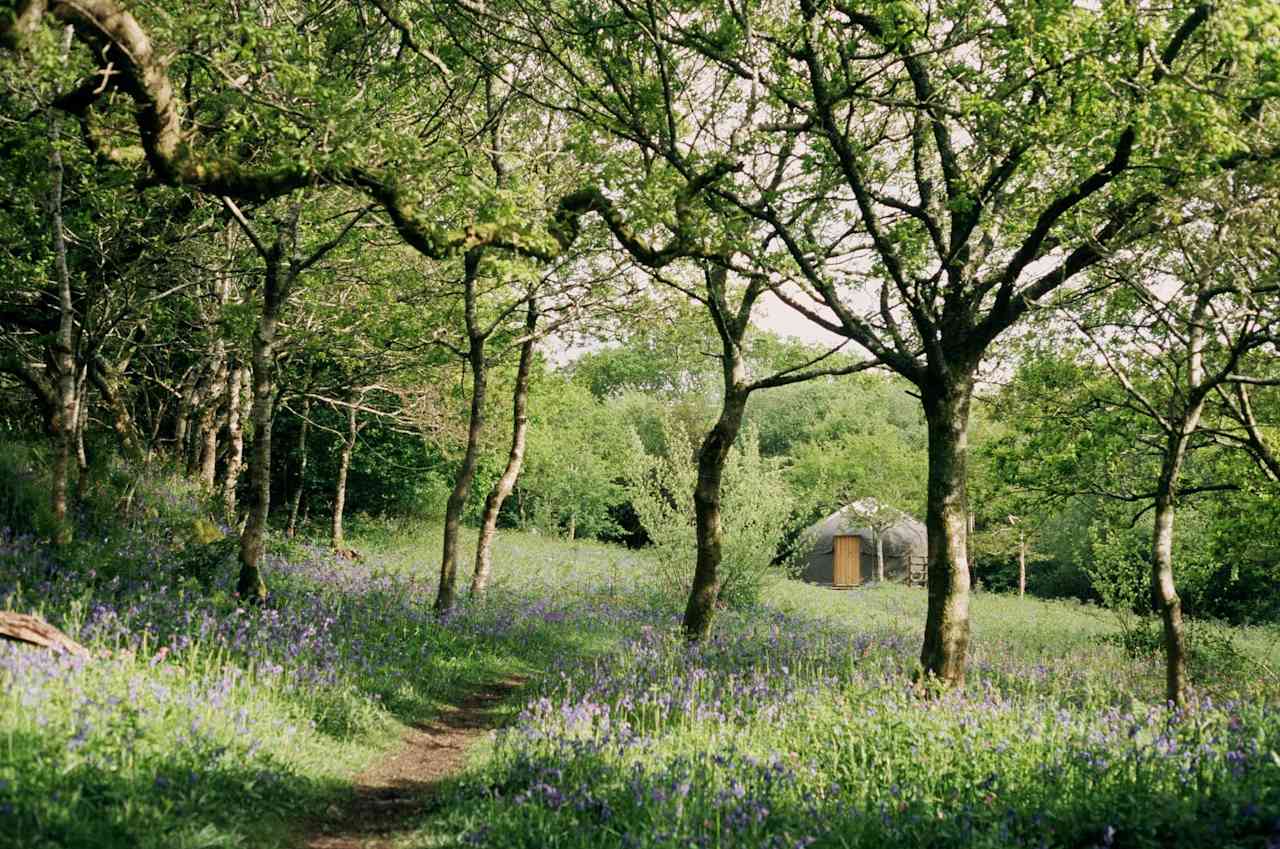 Green Man Yurt