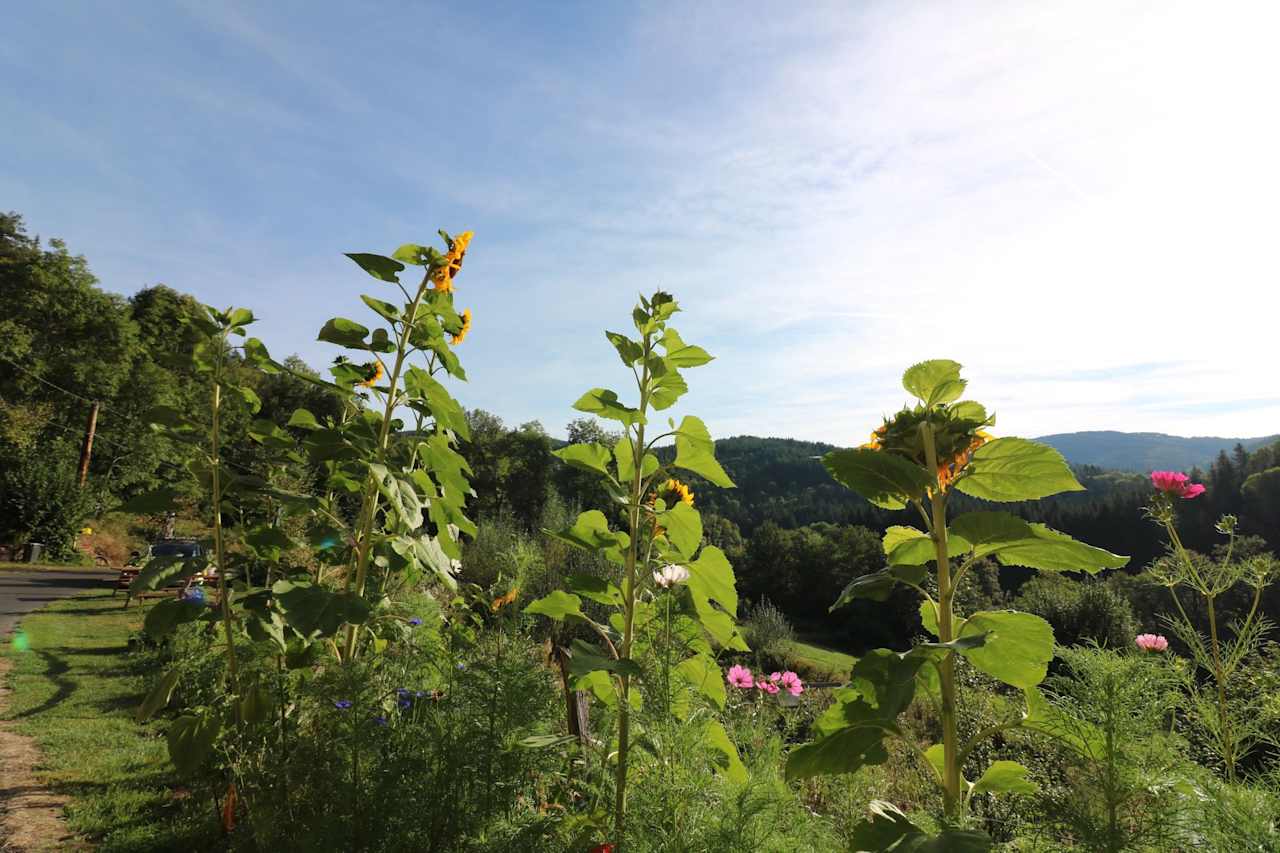 Natural heaven. This is one of the most relaxing and beautifully isolated glamping sites in central France.