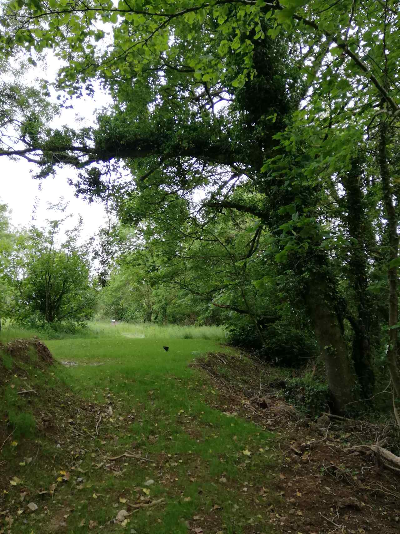 Digs in the Wig campsite is on the southern edge of the Preseli Hills in Pembrokeshire.