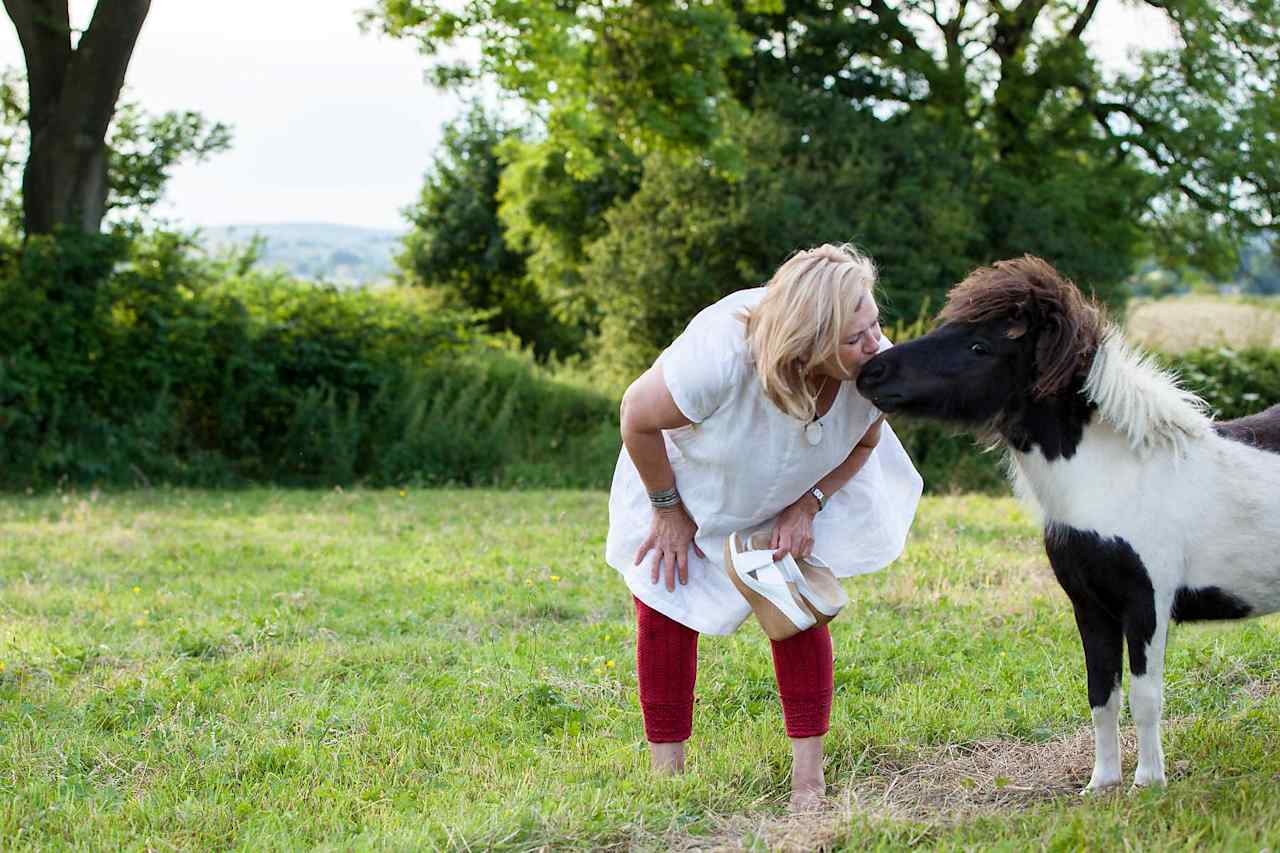 Say hello to the four miniature Shetland ponies at Upper Hurst Farm, Derbyshire.