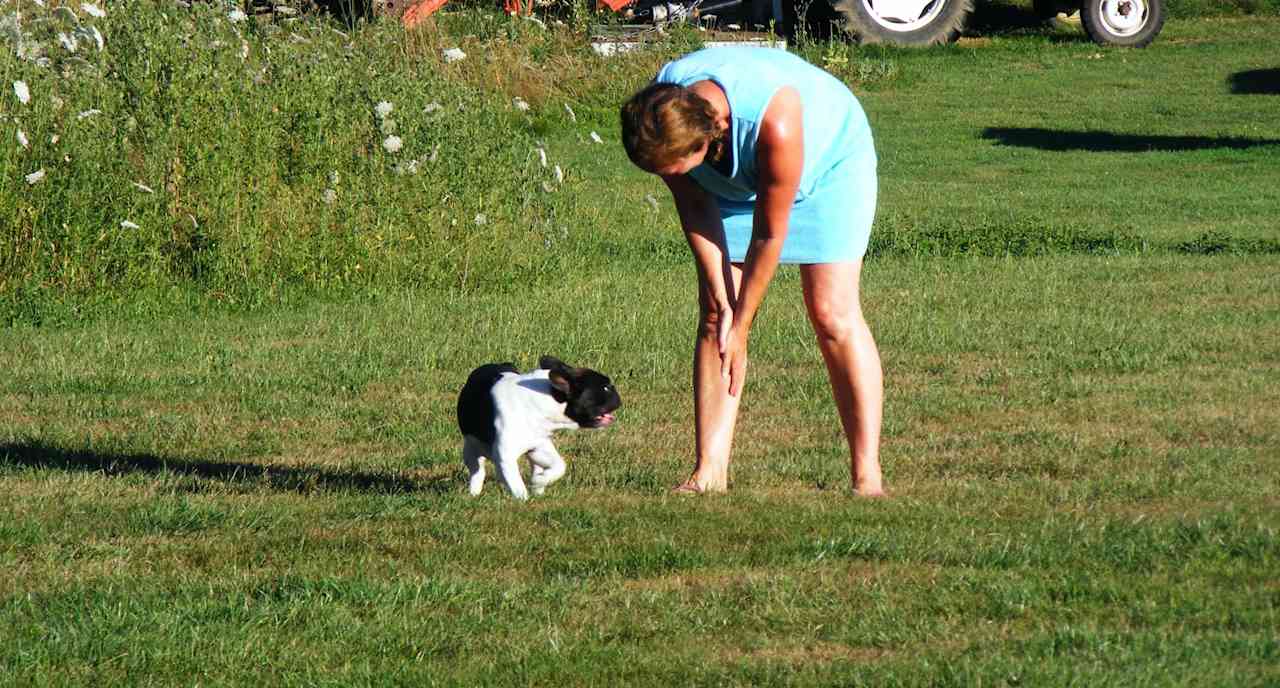 Traditional, riverside camping in France's second sunniest region. 