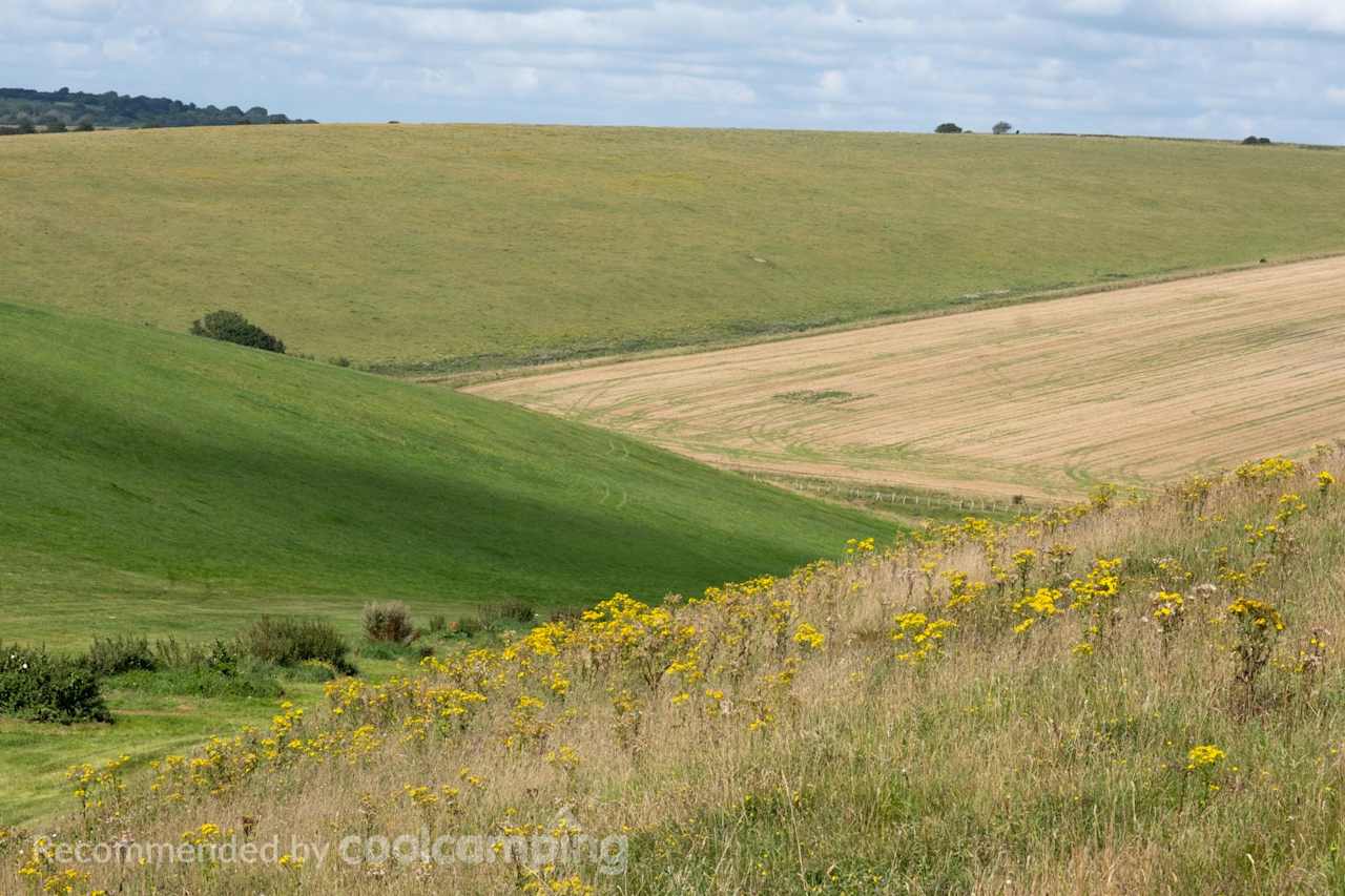 Chalky Downs