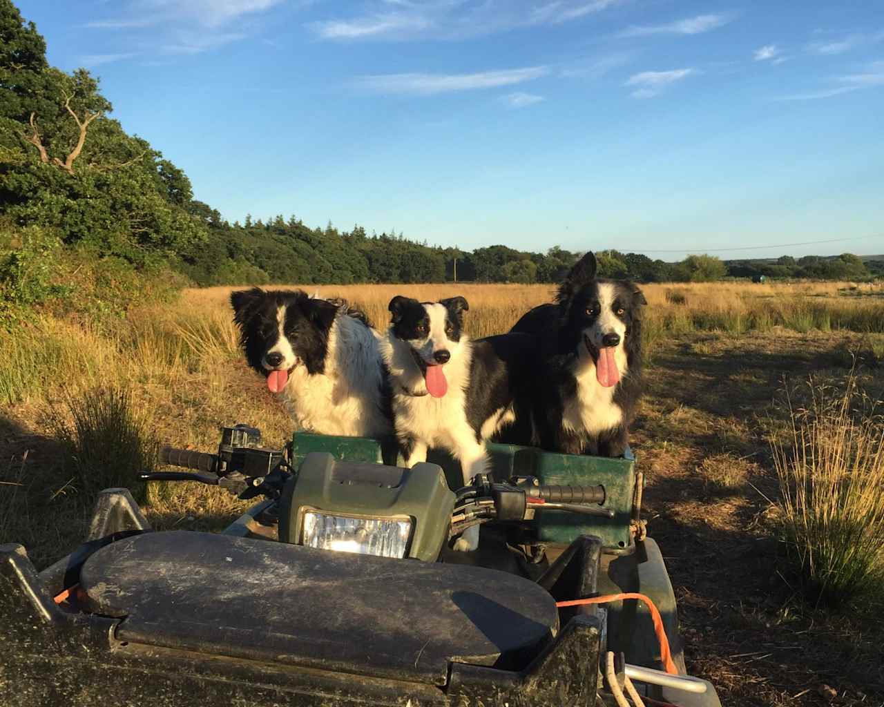 Snelling Farm Campsite