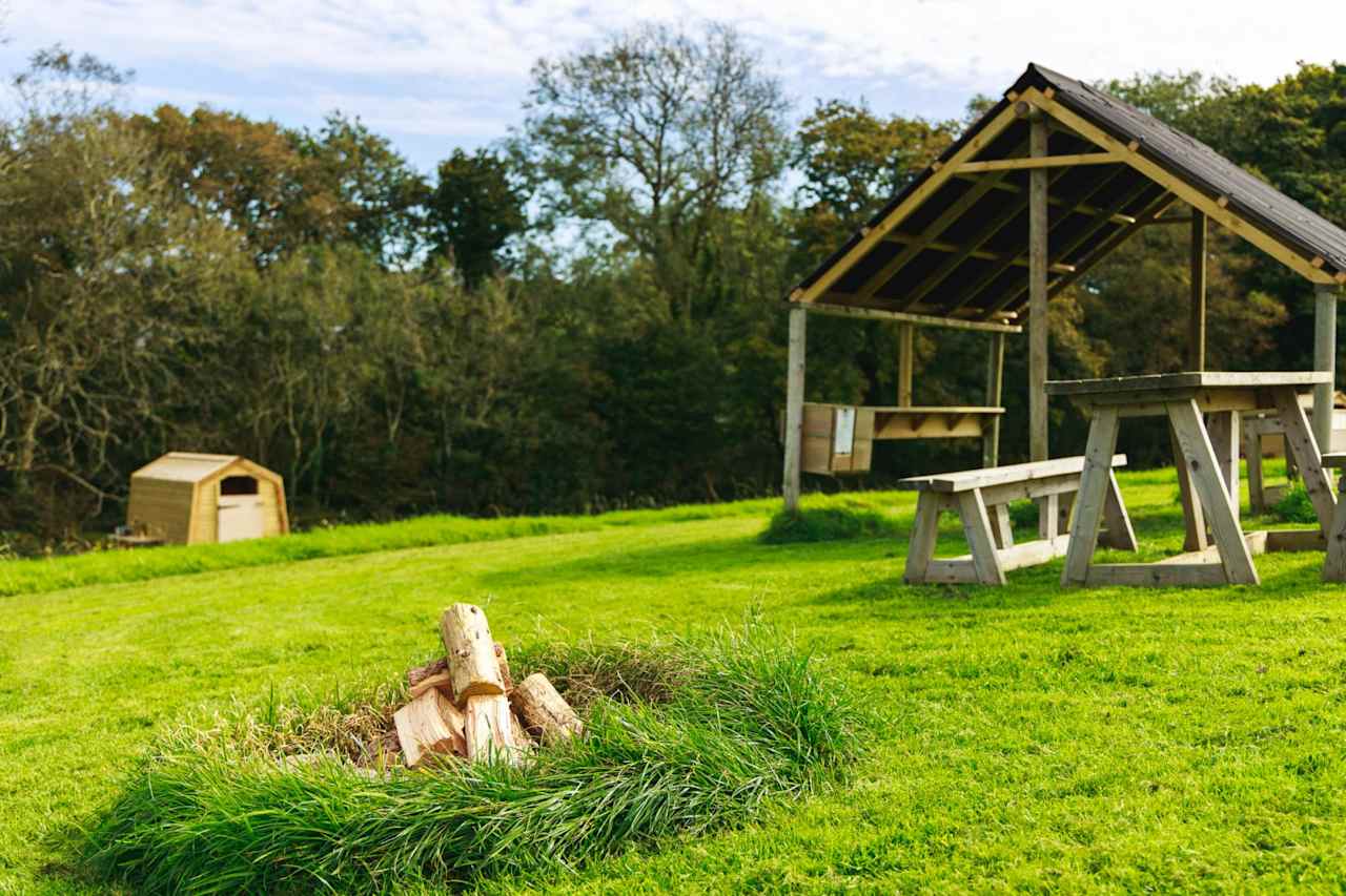 Tansy - Ensuite Grass Pitch