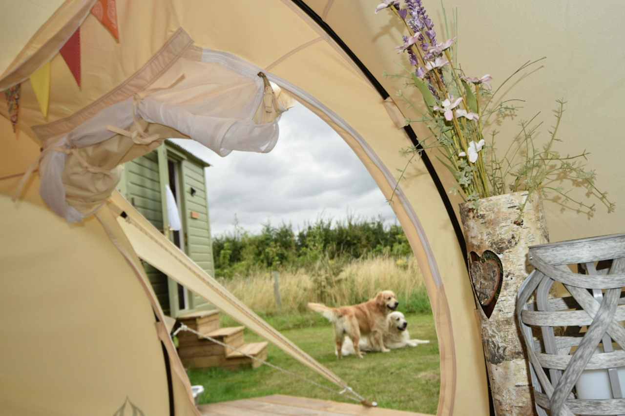 Shepherds Belle and Croft Hut