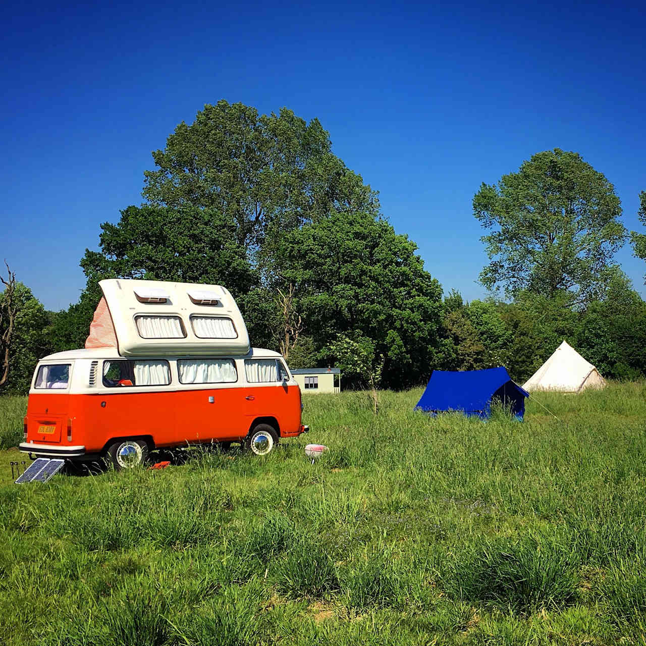 Grass Camper Van Pitch