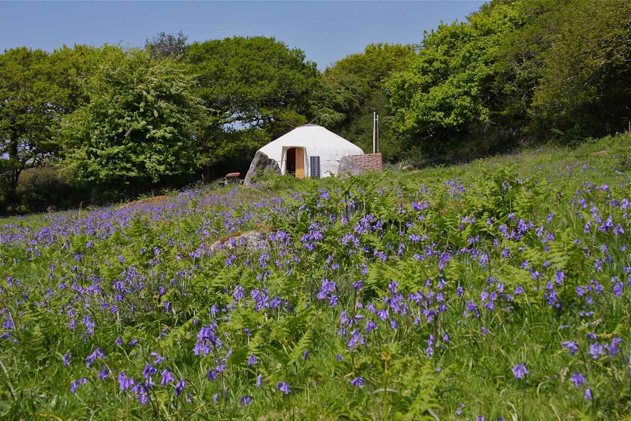 Cornish Yurt Holidays