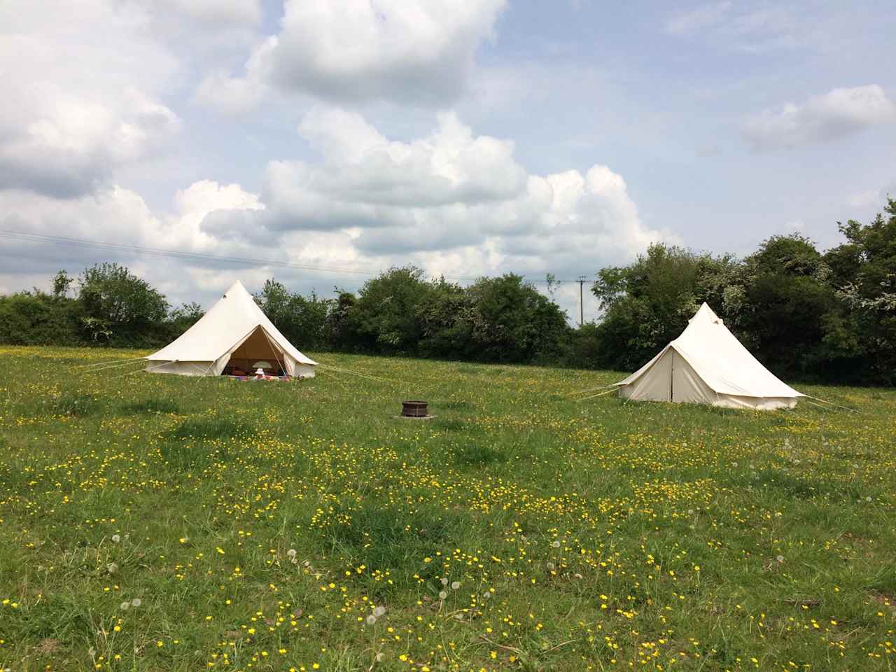 Maple Field Camping