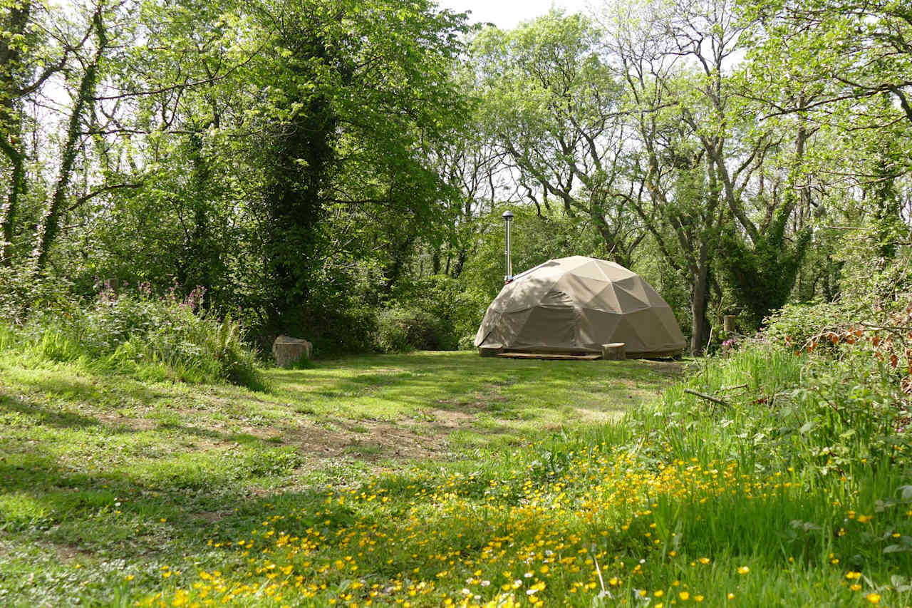 Geodesic Dome