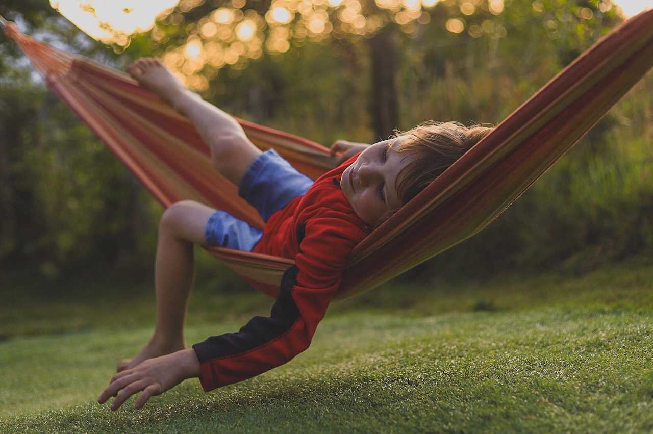 The hammock garden at Top of the Woods. Care-free Welsh camping & glamping with acres of space, excellent walks and a beautiful woodland on the doorstep.