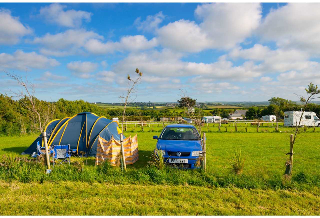 Grass pitch (with electric)