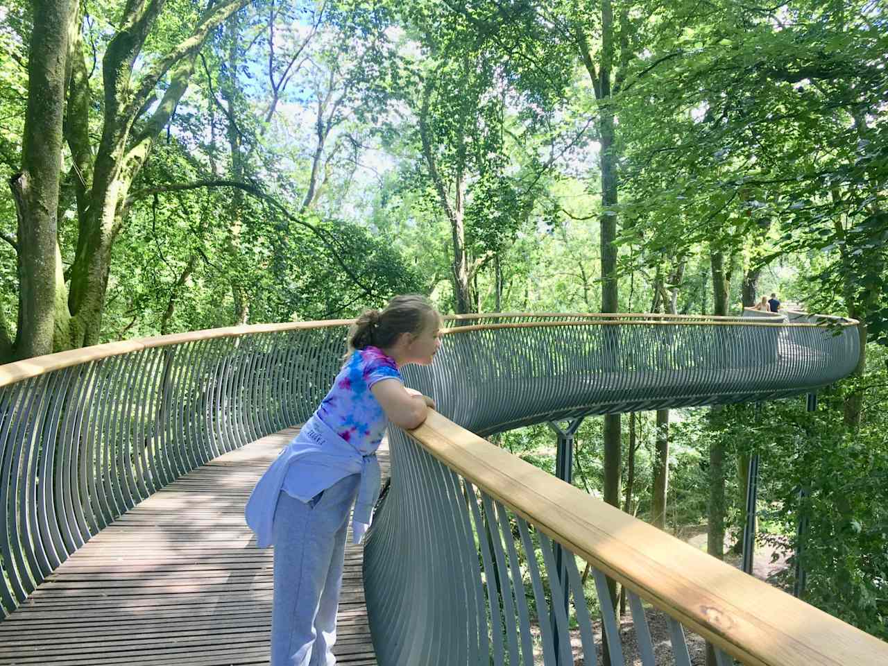 The tree top walk at The Newt, Castle Cary. A brilliant day out.