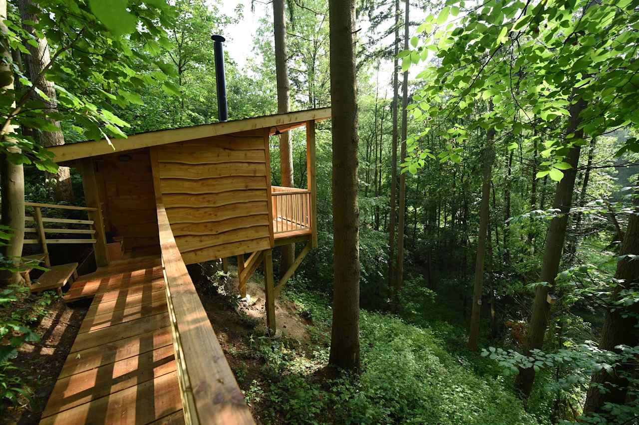 Treetop Cabin