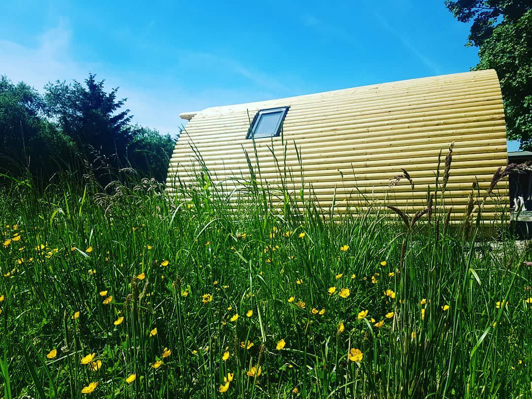 Brynllwyd Glamping - Photo 3