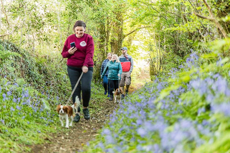 Top Of The Woods is dog friendly! Care-free Welsh camping & glamping with acres of space, excellent walks and a beautiful woodland on the doorstep.