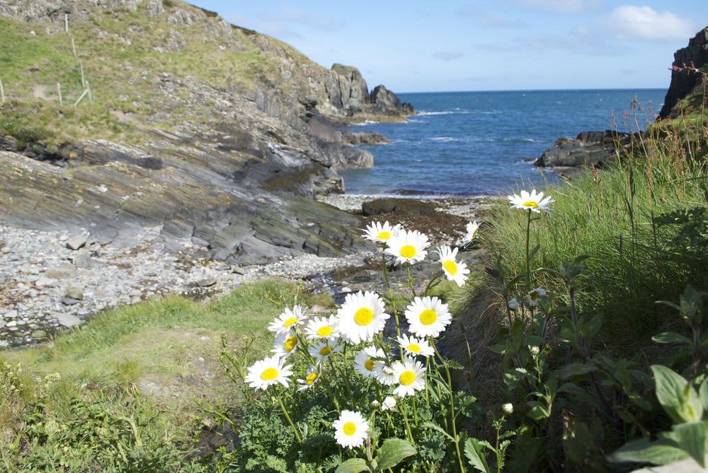 Celtic Camping & Bunkhouse