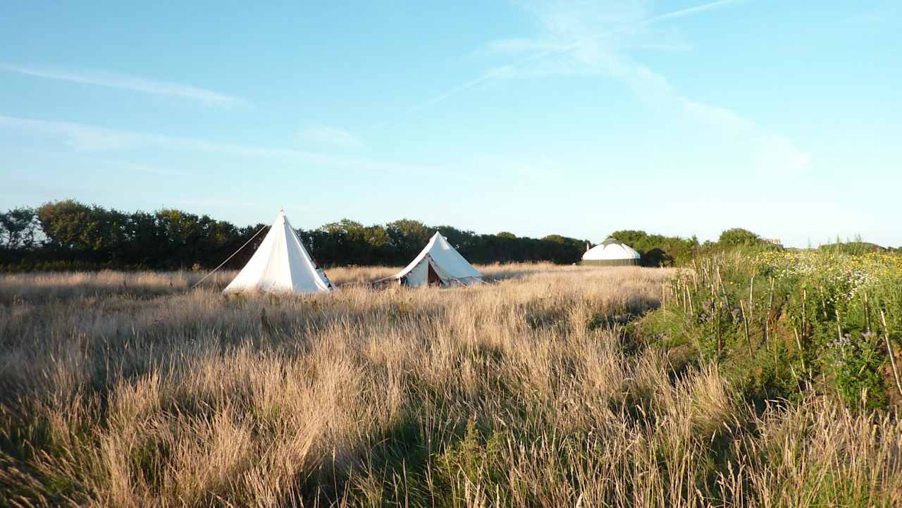 Sunset Grass Pitch (back)