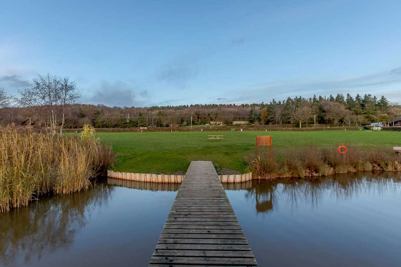 Electric Pitch with Lakeside View