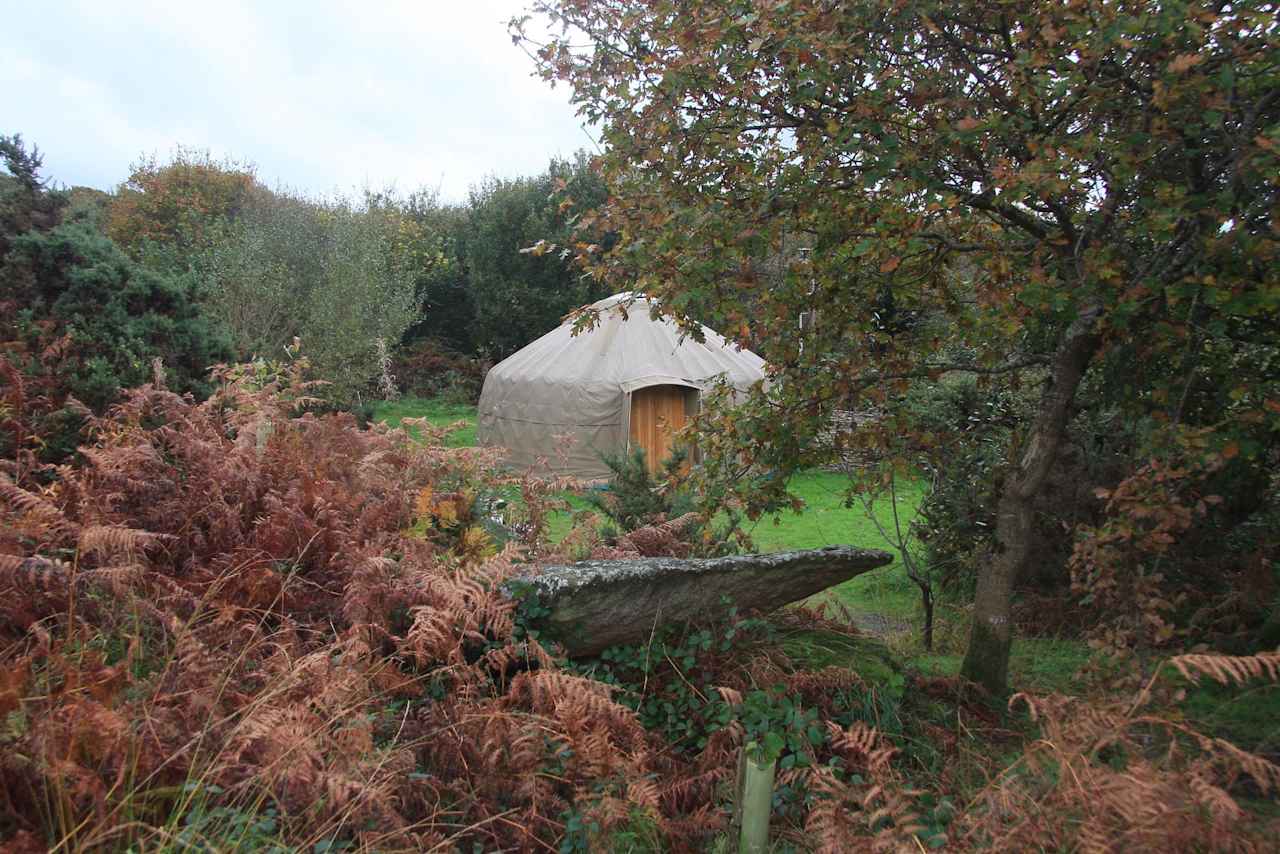 Oakwood Yurt