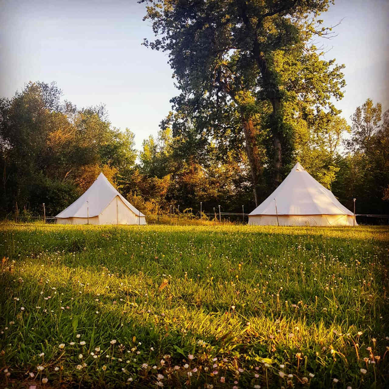 Camping d'Artagnan