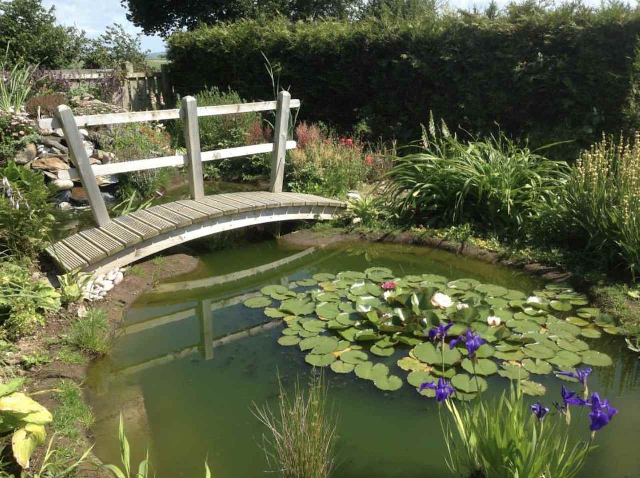 Secret Spot Camping - Lily Pond and Lovers Bridge.