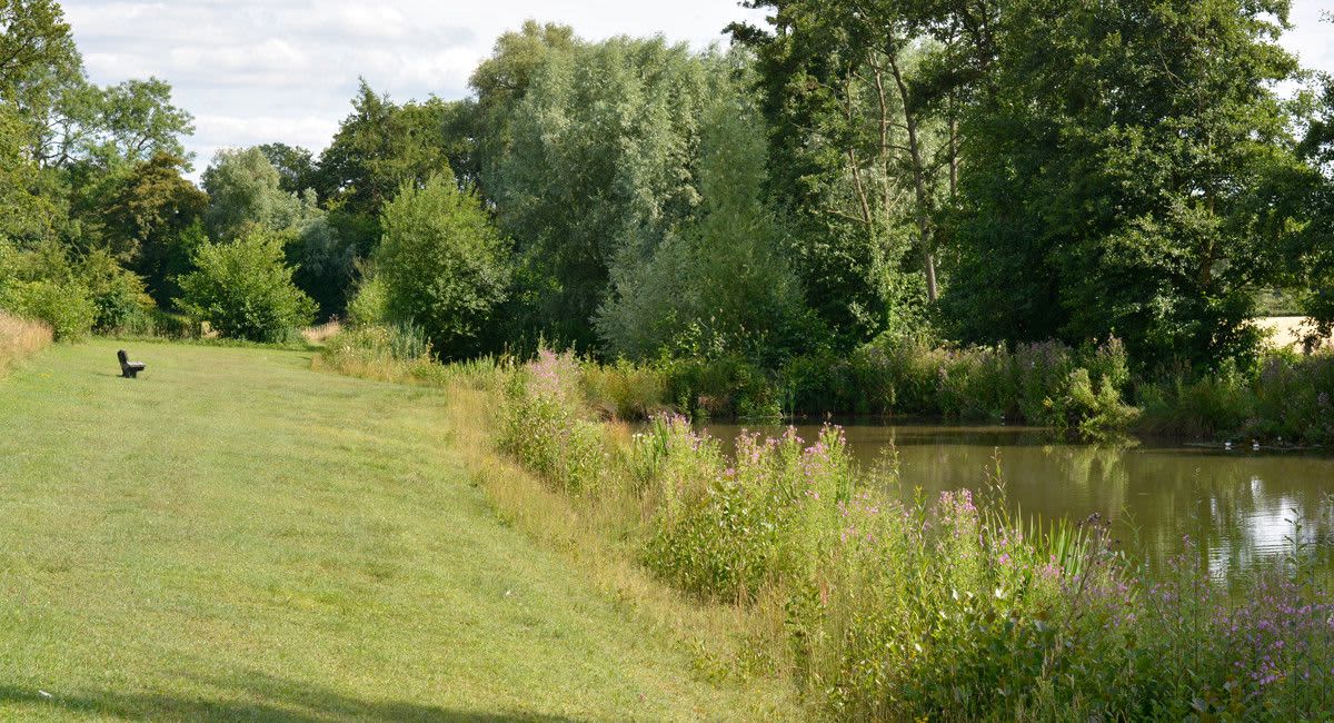 Glamping pods, Scandinavian lodges and regular camping and caravanning, Woodside Country Park in Herefordshire has something for everybody.