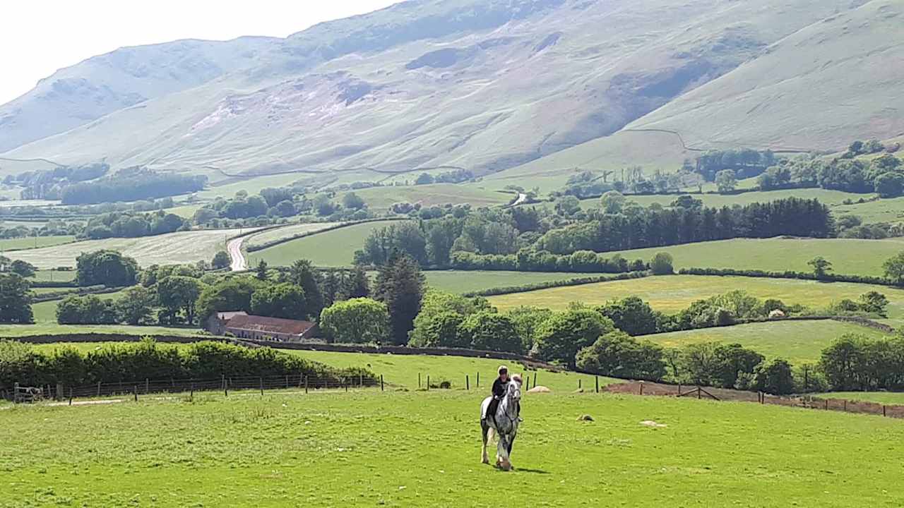 Baystone Bank Farm Campsite