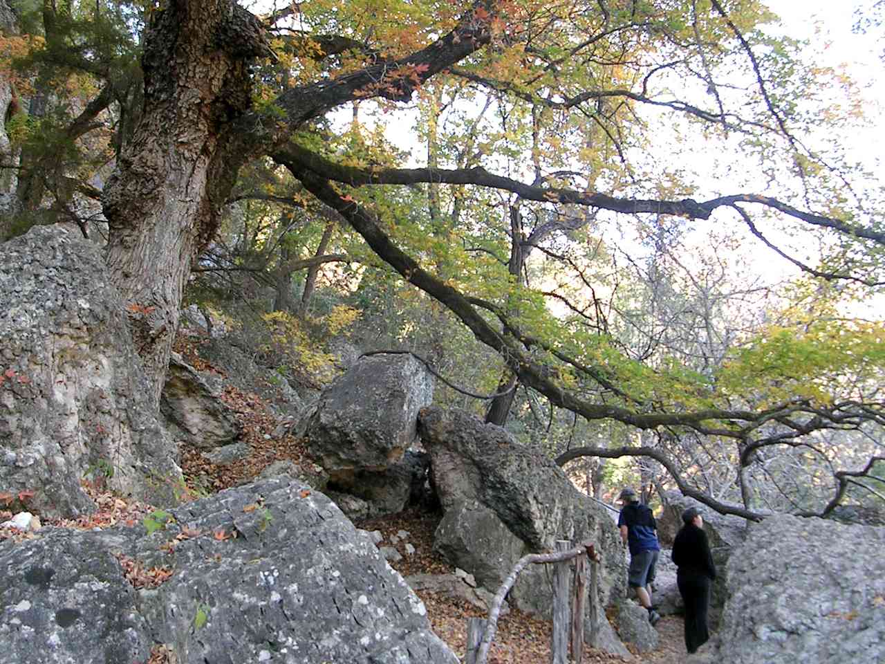 hiking trail