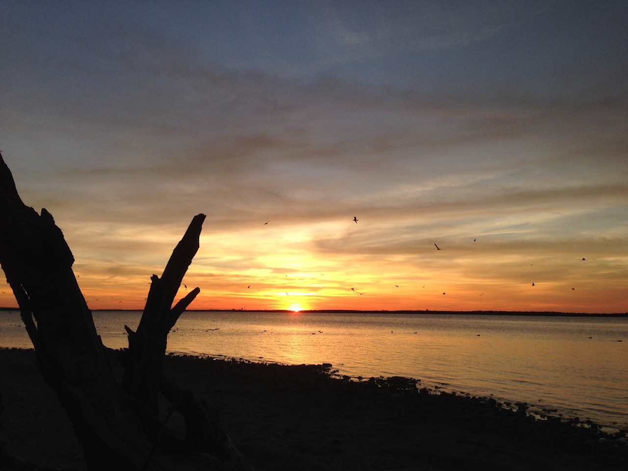 Cedar Hill State Park