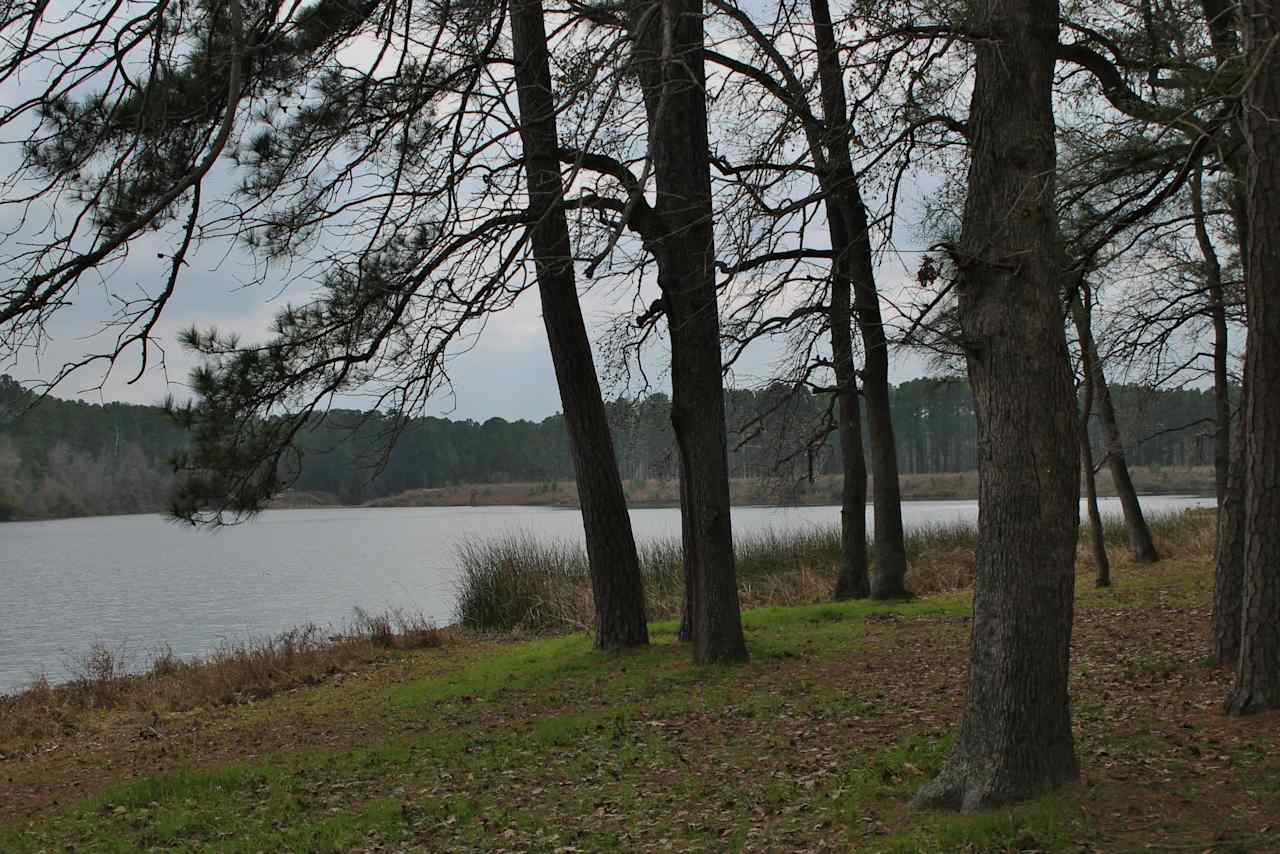 Huntsville State Park