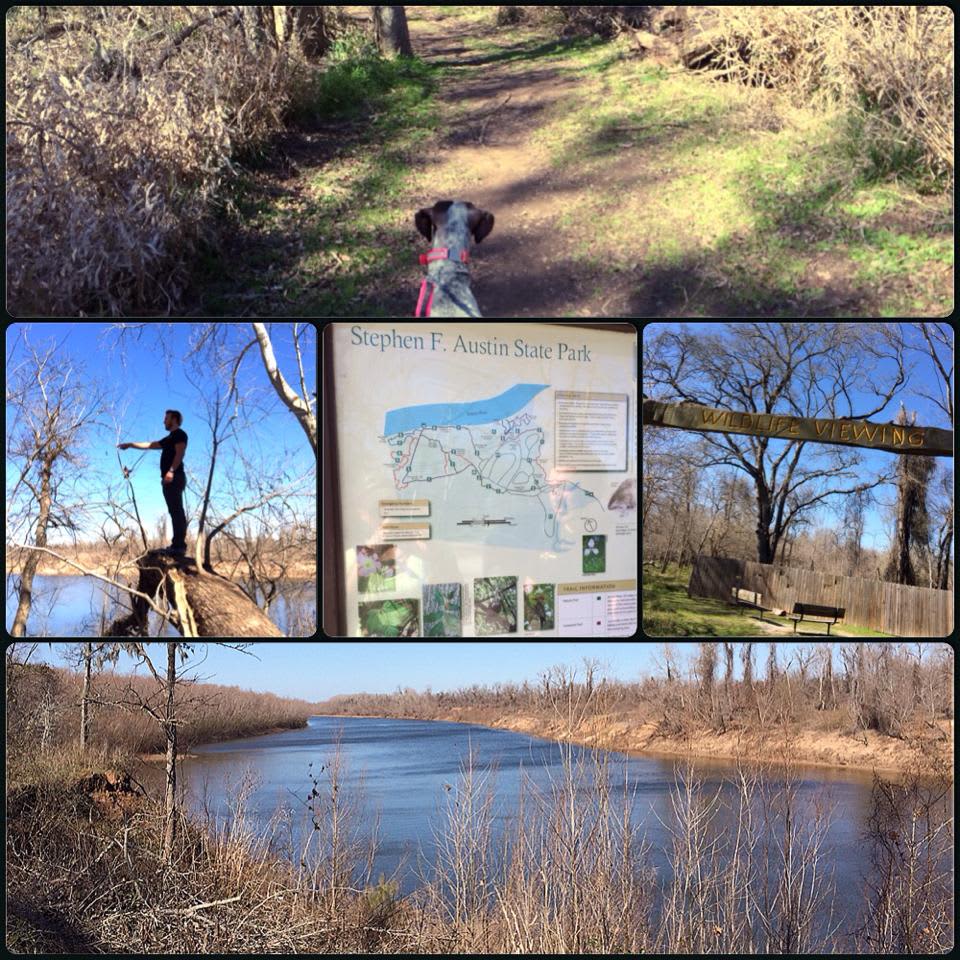 Stephen F. Austin Campground