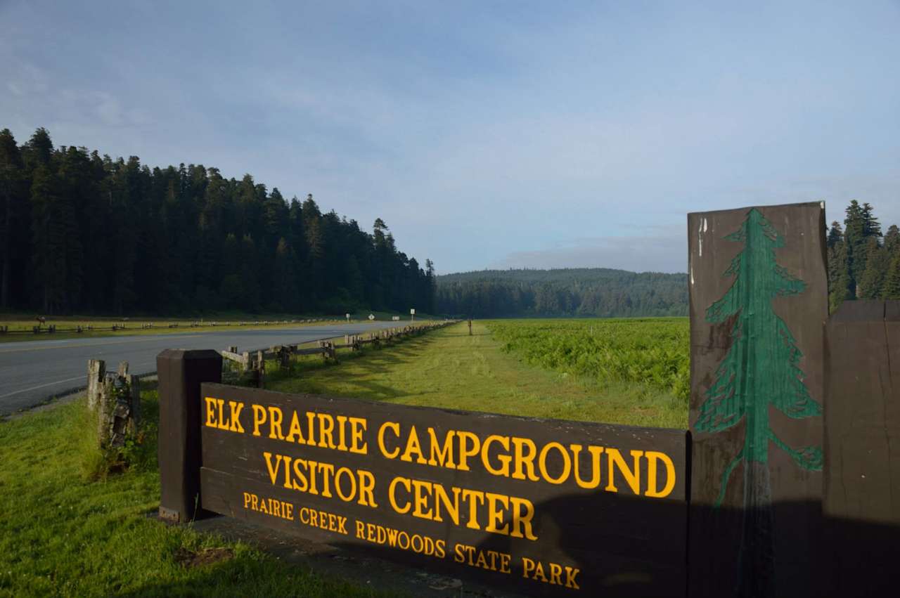 Prairie Creek Redwoods State Park