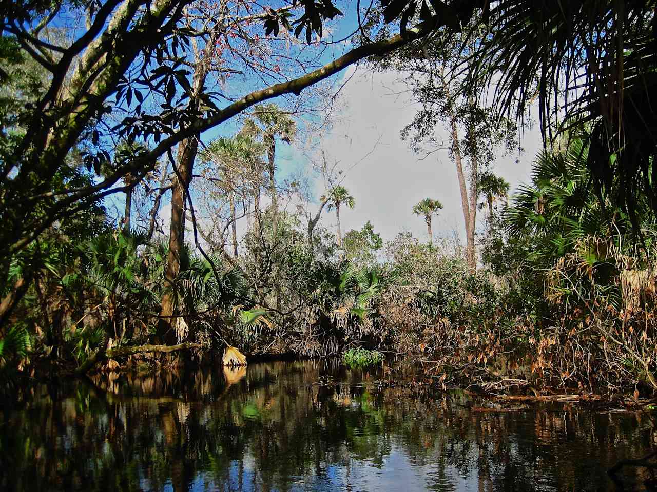 Juniper Springs Recreation Area and Campground