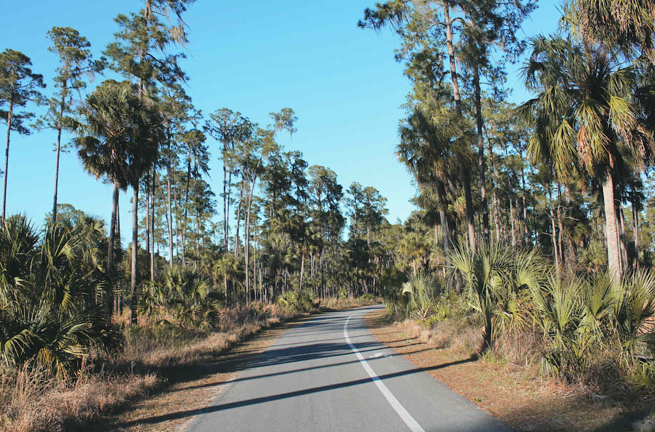 Hillsborough River Campground