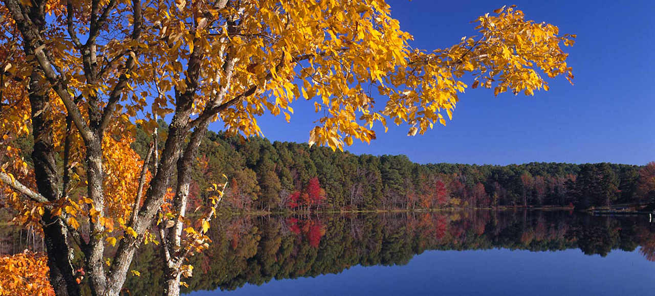 Lake Bob Sandlin State Park