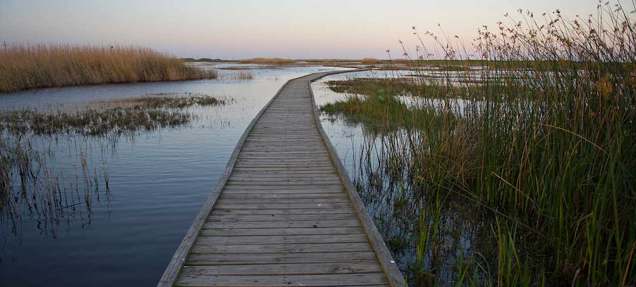 Sea Rim State Park