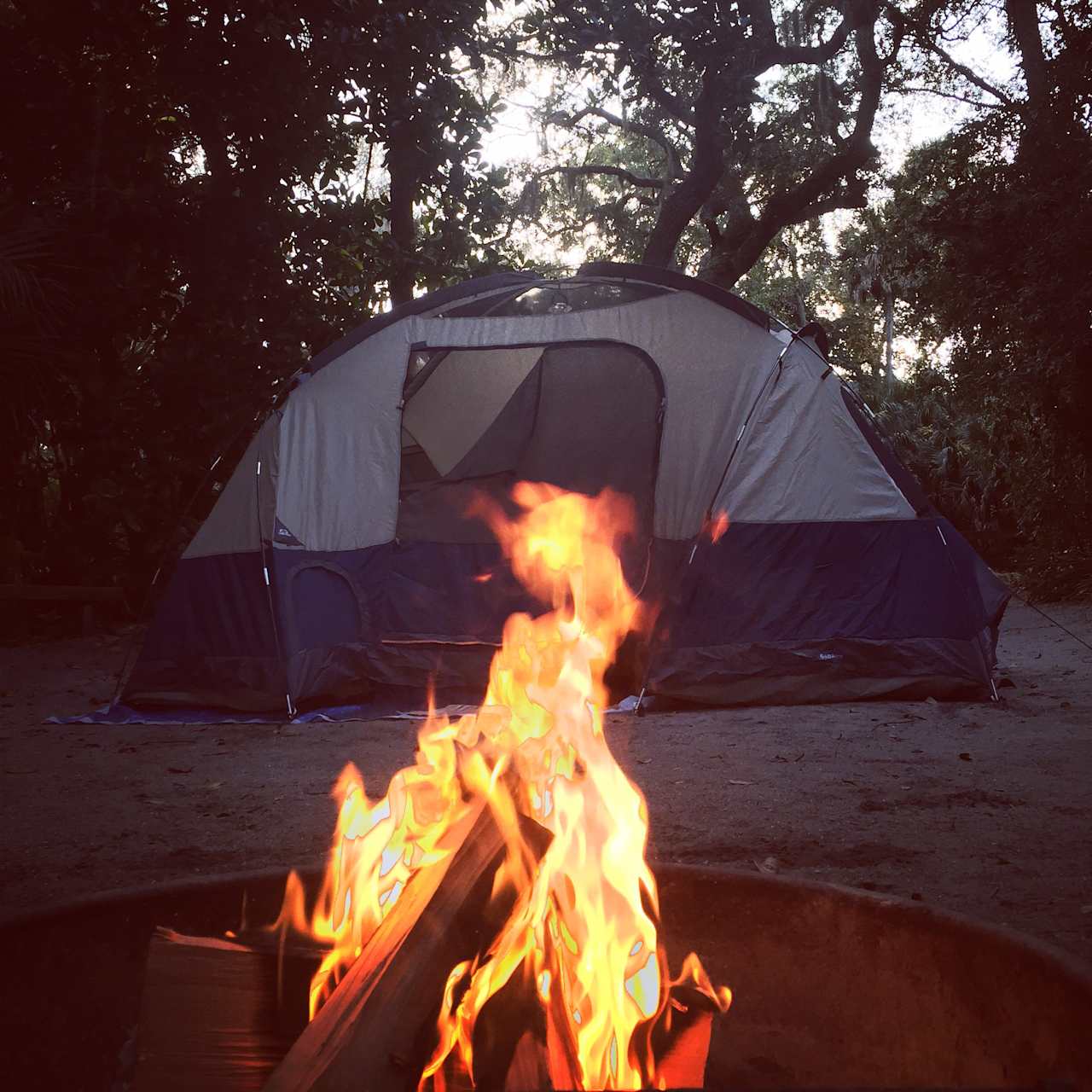 Tomoka State Park